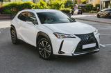 Lexus UX 250h Executive Line Executive Line - Lexus aus 2019