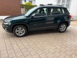 Volkswagen Tiguan Track & Field 4x4 Sitzheizung AHK - Volkswagen Tiguan: Field Track