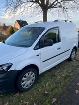 Volkswagen Caddy Kasten  - Volkswagen Caddy Maxi in Hamburg