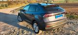 Volkswagen VW Taigo Life ACC Kamera Sitzhzg 18.000 km - VW Taigo von privat