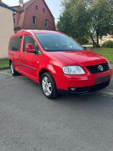 Volkswagen VW  Caddy Maxi   1,9 TDI 7 sitzer - Volkswagen Caddy Maxi aus 2009