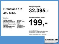 Opel Grandland (X) - Vorschau Bild 4