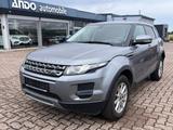 Land Rover Range Rover Evoque 2.2 Pure Teilleder/Allwetter - gebrauchte Land Rover Range Rover Evoque aus dem Jahr 2013