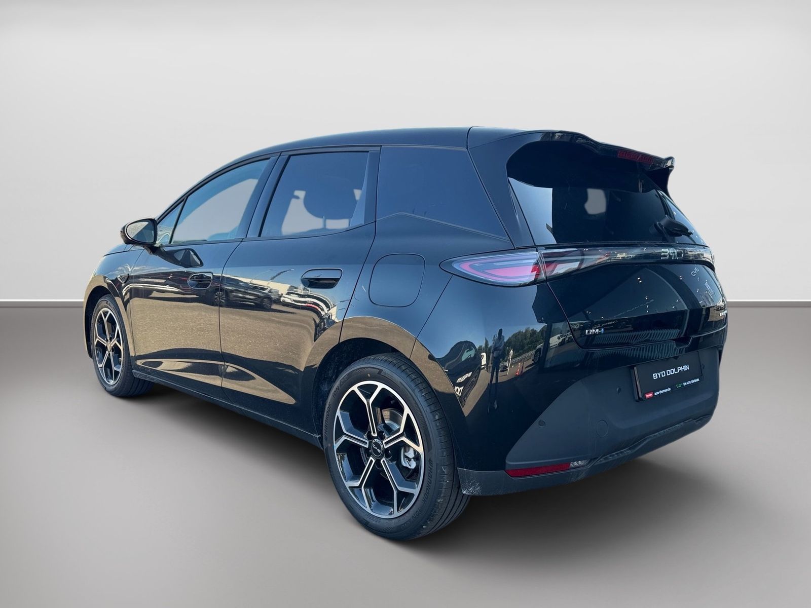 BYD DOLPHIN
