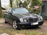 Mercedes-Benz E 240 AVANTGARDE Avantgarde - gebrauchte Mercedes-Benz E 240 aus dem Jahr 2000