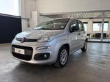 Fiat Panda 1.3 MJT S&S Easy - Fiat Panda EASY mit Diesel-Antrieb