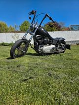 Harley-Davidson Street-bob - HARLEY-DAVIDSON 2009 STREET BOB