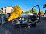 Wacker Neuson Dumper Kettendumper DT23 Drehkippmulde - Kettendumper