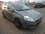 Fiat Punto 1.4 8V Edizione Magnifica..Tüv neu - Fiat Punto: 1.4