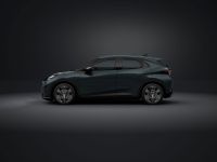 Cupra Raval - Vorschau Bild 4