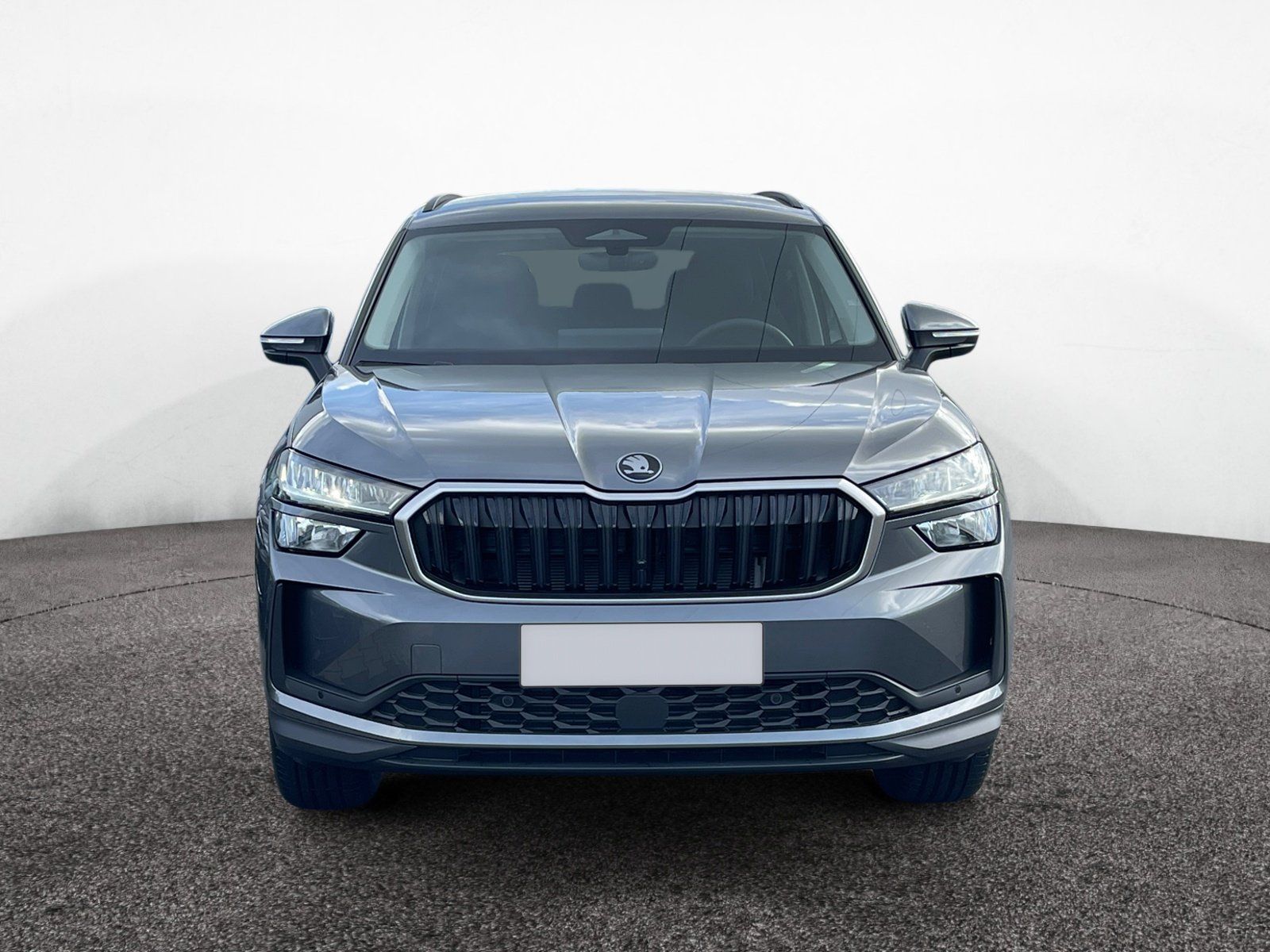 Skoda Kodiaq - Bild 2