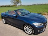 BMW 220i Cabrio Luxury Line Leder Xenon  Service neu