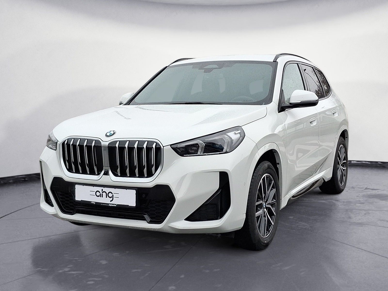 BMW X1 - Bild 2