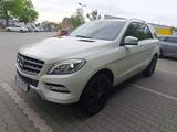 Mercedes-Benz ML 350 BlueTEC 4MATIC - - Mercedes-Benz ML 350 Gebrauchtwagen in Berlin