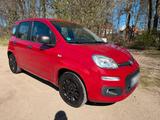 Fiat Panda 1.2 Benziner Klima parksensoren... - Fiat Panda in Lübeck