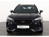 Cupra Formentor 2.0 TSI 4Drive VZ DSG AHK/LED/ACC/RFK - Cupra Formentor Gebrauchtwagen