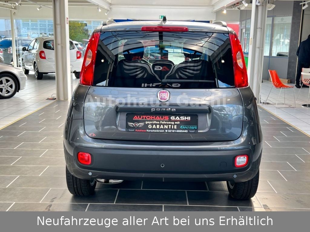 Fahrzeugabbildung Fiat Panda Lounge*2Hd*PDC*SHZ*Klima*Winter-Paket*