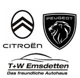 Volkswagen Golf Plus VI CrossGolf - Cars in Rheine: Kleinwagen