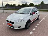 Fiat Grande Punto 1.2l 8V*TÜV**JVC-Radio**Günstig* - : Leichtmetallfelgen, Günstig