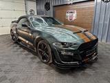 Ford Mustang GT500 Shelby look,  2.3 EU-Version COC - Ford Mustang: Shelby