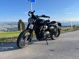 Triumph Scrambler 900 - TRIUMPH SCRAMBLER