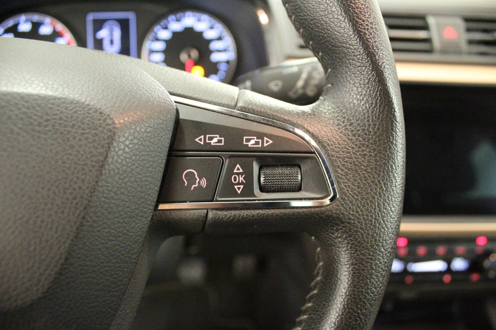 Fahrzeugabbildung SEAT Ibiza 1.0 TSI Excelence *Winter & Sicht Paket