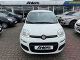 Fiat Panda Easy+ALLWETTER+KLIMA+RADIO+4SITZER+ABS+ESP - Fiat Panda: Sitze