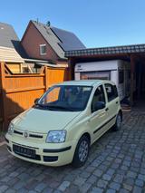 Fiat Panda Dynamic 1,2L ; el FH ; wenig km ; DZM uvm. - Fiat Panda in Lübeck