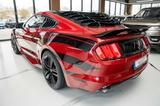 Ford Mustang 3,7 V6 Gt 500 SHELBY TESLA NAVI ALCANTAR - Ford Mustang: Coupe, V6