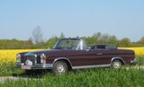 Mercedes-Benz Mercedes 280 SE /C/8  Cabrio,  W111, Bj 70... - Mercedes-Benz: Cabrio, W111