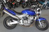 Honda CBF 600 F Hornet  PC36 Topzustand 79er Sitzhöhe! - HONDA CB600F