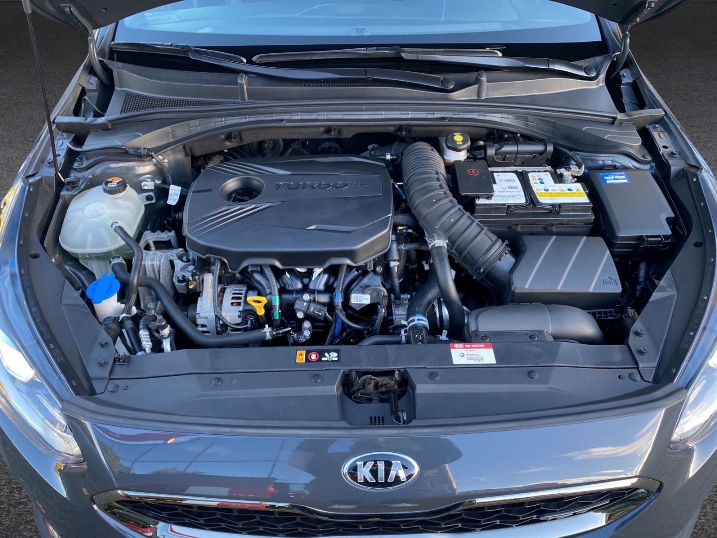 Fahrzeugabbildung Kia ProCeed GT 1.6 T-GDI EU6d *GLASDACH* *ALLWETTERR