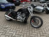 Harley-Davidson V- Rod Komplettumbau 280er Reifen - MOTORRAD AUS DEM JAHR 2002