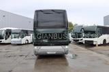 Vanhool TDX20 Altano / 13.6m / Full Option - Vanhool Reisebus