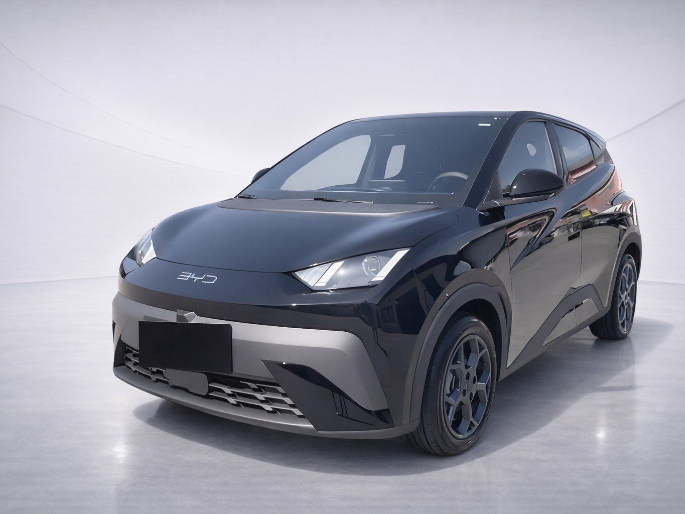 BYD DOLPHIN SURF