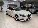 Mercedes-Benz A 180 Automatik Teilleder Navi Rückf.Kamera Bi- - Mercedes-Benz A-Klasse: Auto