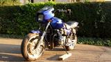 Kawasaki Zephyr 750 - Angebote