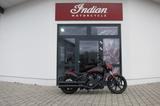 Indian SCOUT ROGUE COPPER METALLIC - Offers