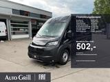 Fiat Ducato Maxi 35 L2H2 AHK RüKa Türen verglast - Angebote