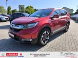 Honda CR-V 1,5 Executive Automatik + Anhängerkupplung - Honda CR-V: Executive