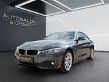 BMW 420 d*LED*NAVI*TEMP*MFL*SHADOW*STZH*PDC*SPORT* - BMW 4er Reihe aus 2013