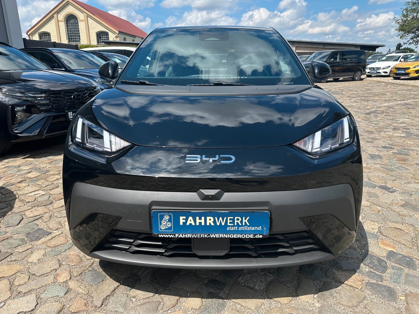 BYD DOLPHIN SURF