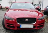 Jaguar XE 20d 180PS AWD Pure Automatik Pure - rote Jaguar XE