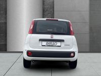 Fiat Panda - Vorschau Bild 6