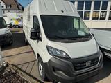 Fiat Ducato Maxi Kasten 35 140 L5H3 RS: 4035 - Fiat Ducato in Ludwigshafen