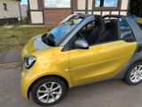 Smart ForTwo Cabrio 90 PS  Twinamic Kamera, Ambient - mit Benzin-Antrieb: Gold, Cabrio