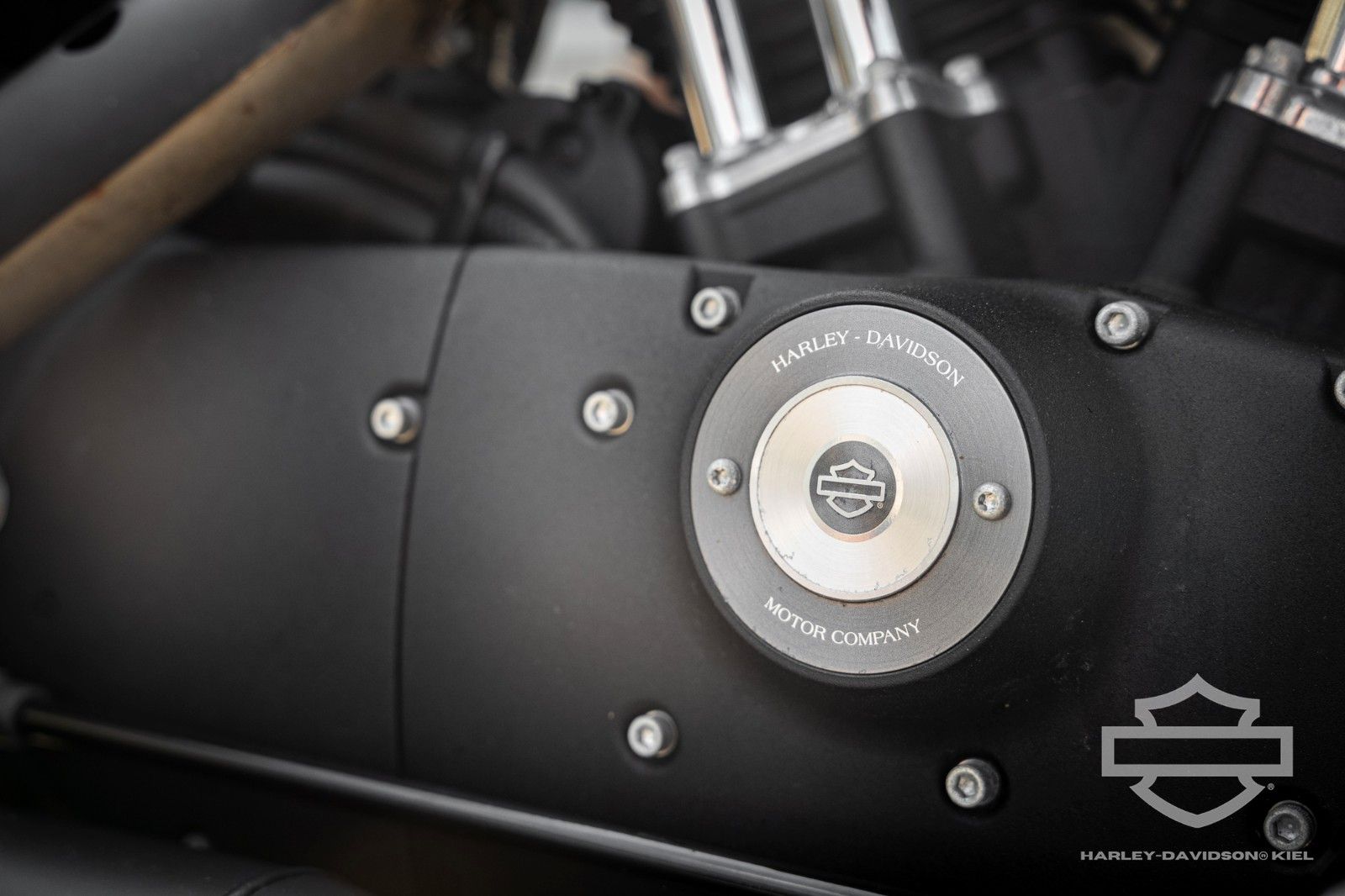Fahrzeugabbildung Harley-Davidson XL883N IRON SPORTSTER  Umbau auf 1200ccm