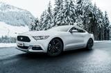 Ford Mustang 2.3 EcoBoost Auto - - Ford Mustang Unfallwagen