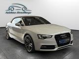 Audi A5 Cabriolet 3.0 TDI clean diesel quattro - Audi A5: Cabrio