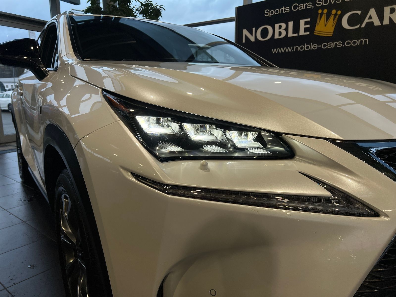 Fahrzeugabbildung Lexus NX 300h E-FOUR F Sport ACC HUD LEDER